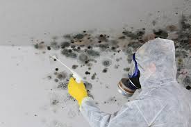 Best Asbestos and Lead Testing During Mold Inspection  in Odessa, MO